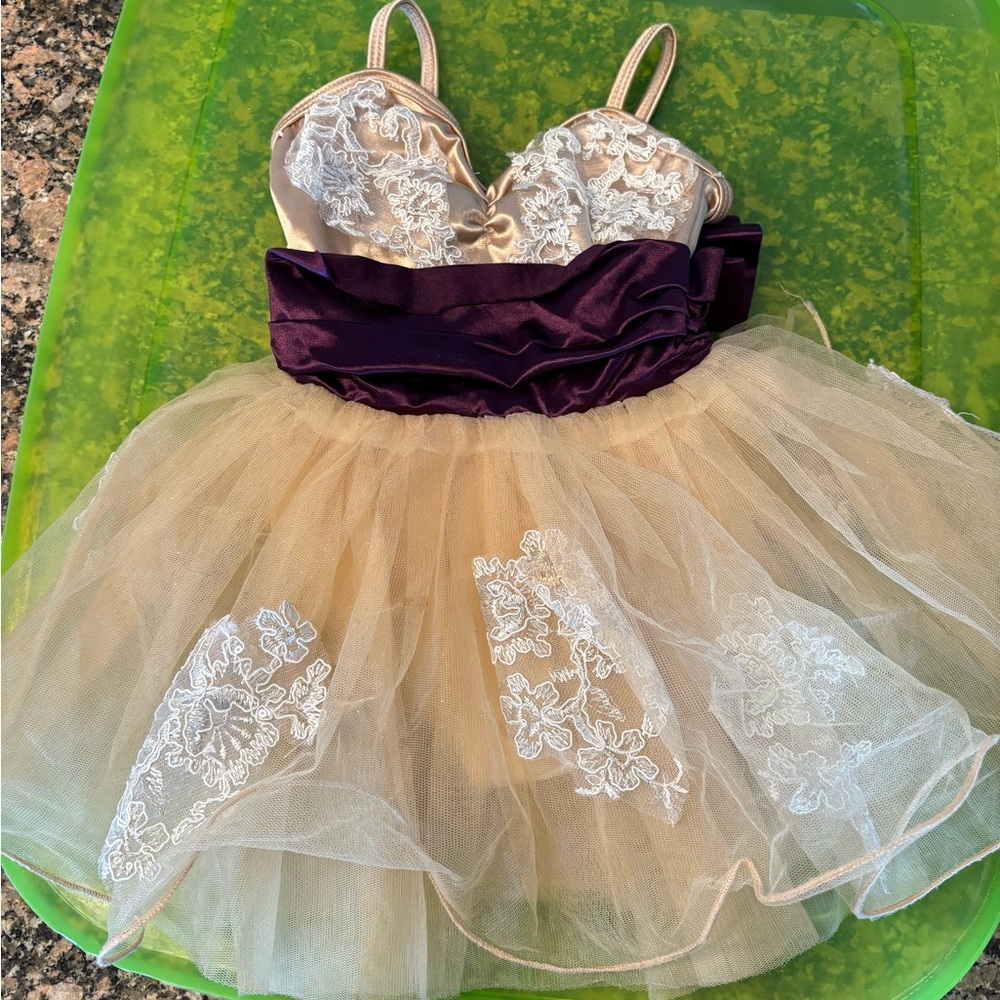 Girls Size 2T Fancy Tulle Party Dress | Cream Lace & Plum Bow
